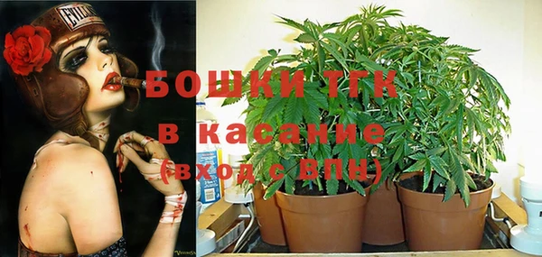 стаф Арсеньев