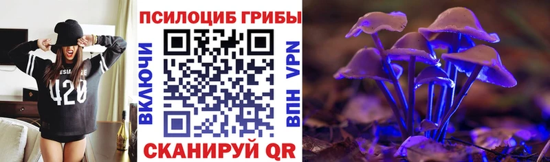 наркотики  Петровск  ссылка на мегу как зайти  Галлюциногенные грибы Magic Shrooms 