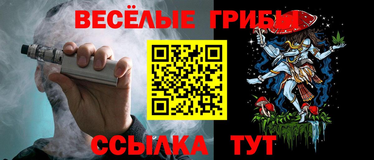 Галлюциногенные грибы мухоморы  Псилоцибиновые грибы Psilocybine cubensis  Петровск  Вход с VPN 